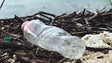 Imagem de Encontrados plásticos e microplásticos em todas as espécies marinhas (Vídeo)