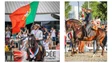 Portugal campeão do Mundo em equitação de trabalho