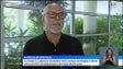 Imagem de Artrose é a doença reumática mais prevalente na Região (vídeo)