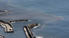 Imagem de Manchas escuras no mar vão ser estudadas (áudio)