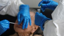 Imagem de Não há novos casos de Covid-19 na Madeira há 20 dias