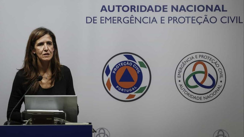 «Para já Portugal não será afetado pelo vulcão»