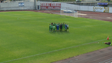 Imagem de Machico conquista três pontos sem jogar (vídeo)