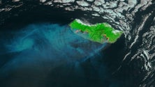 Imagem de Madeira com risco de incêndios durante esta semana