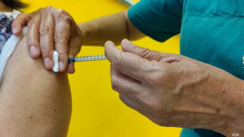 Imagem de Administradas mais de 400 mil vacinas contra a Covid