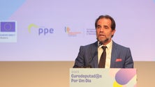 Imagem de Albuquerque diz que PS retirou o IUC para salvar votos (vídeo)