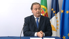 PSD quer novo rumo para a agricultura dos Açores (Vídeo)