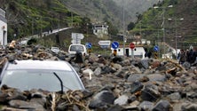 Imagem de Mais de 630 milhões de euros da Lei de Meios executados na Madeira