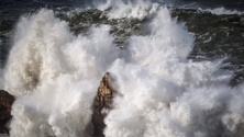 Imagem de Capitania alerta para agitação marítima forte até domingo