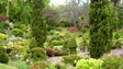 Imagem de Turismo de jardins rendeu quase 5M€ em 2017