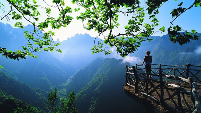 Imagem de Madeira agradece a preferência dos turistas e profissionais