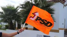 Legislativas 2019: PSD defende compromisso com o setor agrícola [Vídeo]