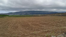 Imagem de Estará o clima a mudar nos Açores ? (Vídeo)