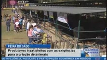 Imagem de 61.ª Edição da Feira do Gado do Porto Moniz (Vídeo)