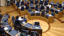 Imagem de PS defende criação de lota digital e do leilão de pescado online (áudio)