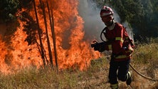 Imagem de Madeira com poucas condições para controlar grande incêndio florestal (áudio)