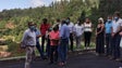Imagem de PSD promete resolver rega no Jardim da Serra (vídeo)