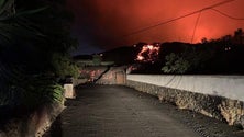 Imagem de Vulcão leva casa de madeirense (vídeo)