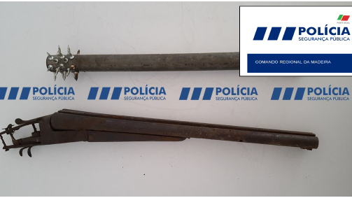 Imagem de PSP apreende armas proibidas na Ribeira Brava