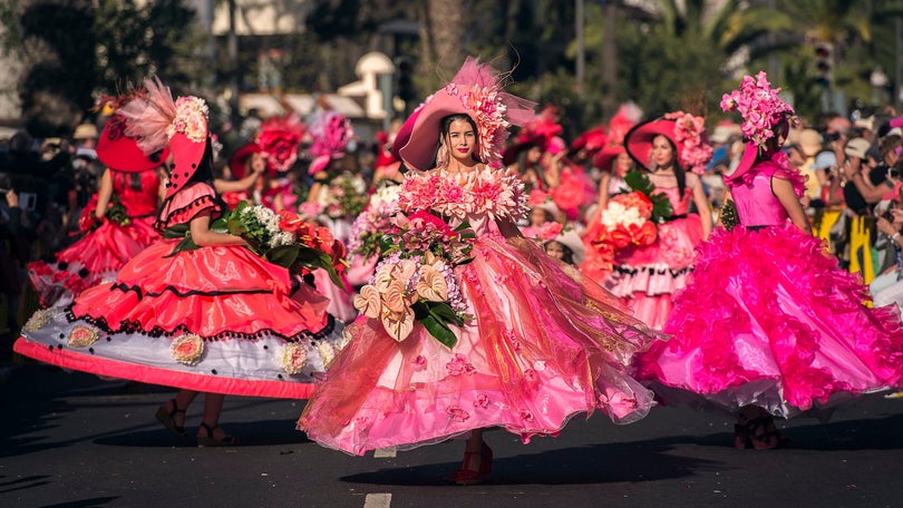 Imagem de Horários do Funchal oferece bilhetes para a festa da Flor