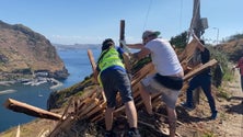 Imagem de Machico já prepara festa dos fachos (vídeo)