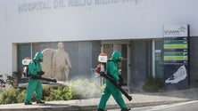 Imagem de Madeira com 22 casos e 37 recuperados