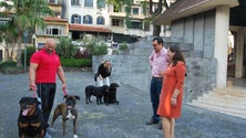 Imagem de Nova campanha de vacinação gratuita de animais