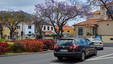Imagem de Venda de automóveis novos na Madeira continua a aumentar
