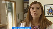 Imagem de PSD quer travar corte de verbas atribuídas às regiões ultraperiféricas ao abrigo do POSEI (Vídeo)