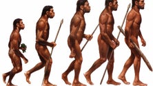 Imagem de Humanos atuais têm origem em populações diversas, de diferentes regiões de África