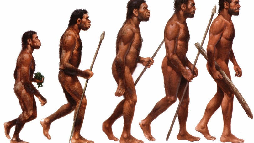Imagem de Humanos atuais têm origem em populações diversas, de diferentes regiões de África
