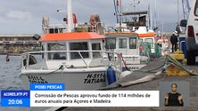 Imagem de Comissão de Pescas aprova fundo de 114 milhões de euros [Vídeo]