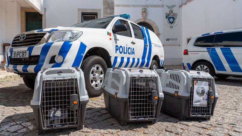 Imagem de PSP lança campanha «Diga NÃO ao abandono de animais»
