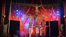 Imagem de Junta de Freguesia de São Roque leva 800 crianças ao circo