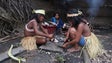 Imagem de Covid-19: Brasil confirma primeiras mortes em área da Amazónia onde vivem indígenas isolados