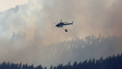 Imagem de Madeira recomenda à República helicóptero de combate a fogos todo o ano