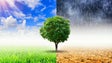 Imagem de Alterações climáticas agravam crise alimentar e conflitos em África