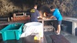Imagem de Vigilantes e policias ficam mais uma semana nas Selvagens (áudio)