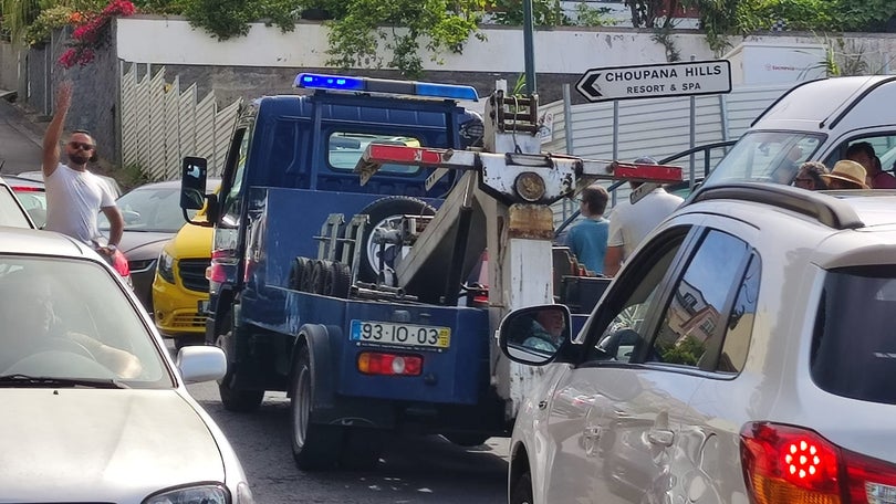 Confusão de trânsito à porta do Jardim Botânico