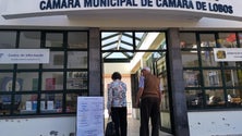 Imagem de Já se vota para as Eleições Europeias na Madeira