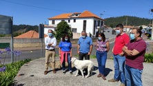 Imagem de CDS quer adaptar recintos (áudio)