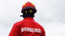 Imagem de Incêndio em mato mobilizou bombeiros