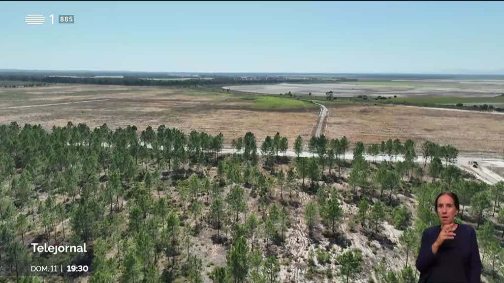 Aquíferos em risco. Agricultores temem futuro em Alcácer do Sal