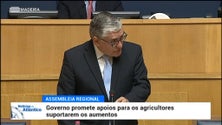 Secretário da agricultura promete apoios para agricultores suportarem aumento dos fatores de produção (vídeo)