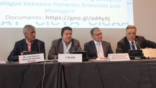 Cientistas avaliam quotas mundiais de pesca na Madeira