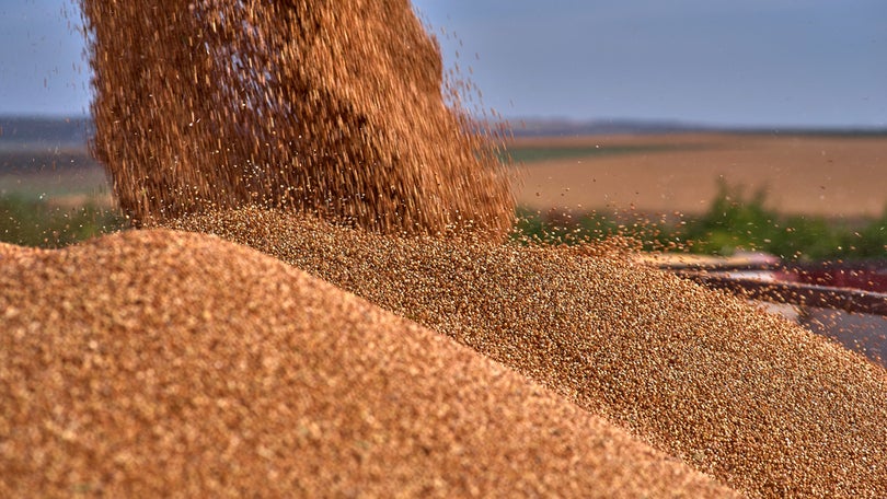 Imagem de Preços dos alimentos continuam a descer
