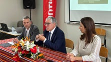 Imagem de Secretário entende que produtores de uvas para vinho Madeira devem ser mais bem pagos (áudio)