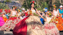 Imagem de Festa da Flor adiada