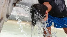 Imagem de Cerca de 50% do território registou temperaturas iguais ou superiores a 40°C