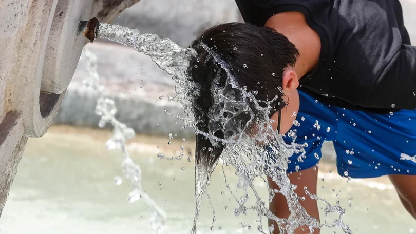 Imagem de Cerca de 50% do território registou temperaturas iguais ou superiores a 40°C